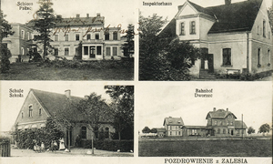 Postcard from Zalesie